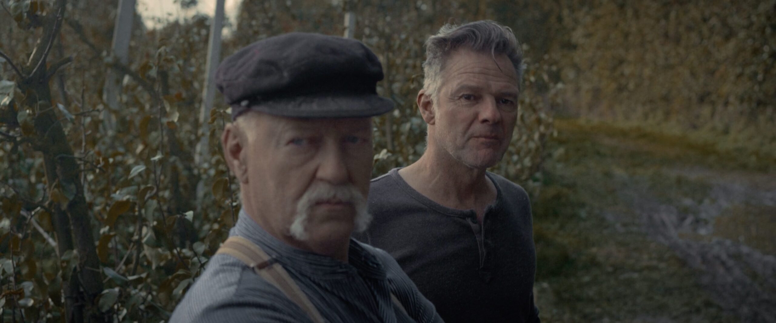 Project stills from The Little Pianist