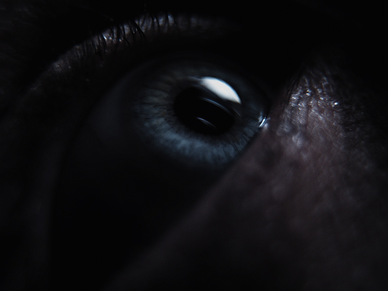 Project stills from GRIT