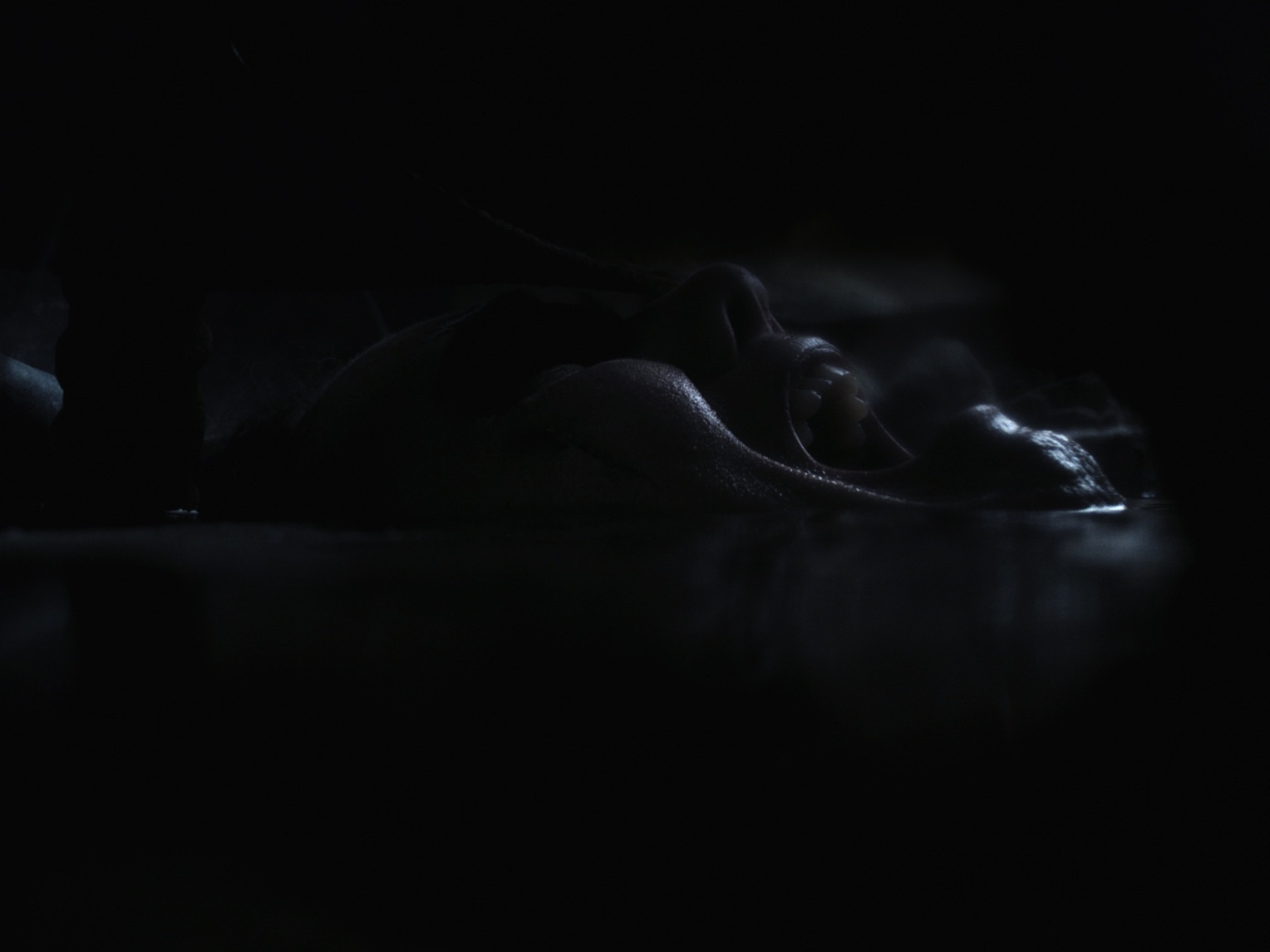 Project stills from GRIT